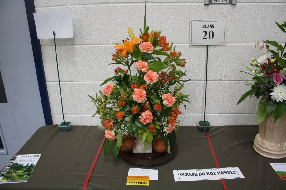 ../Images/Horticultural Show in Bunclody 2014--28.jpg
